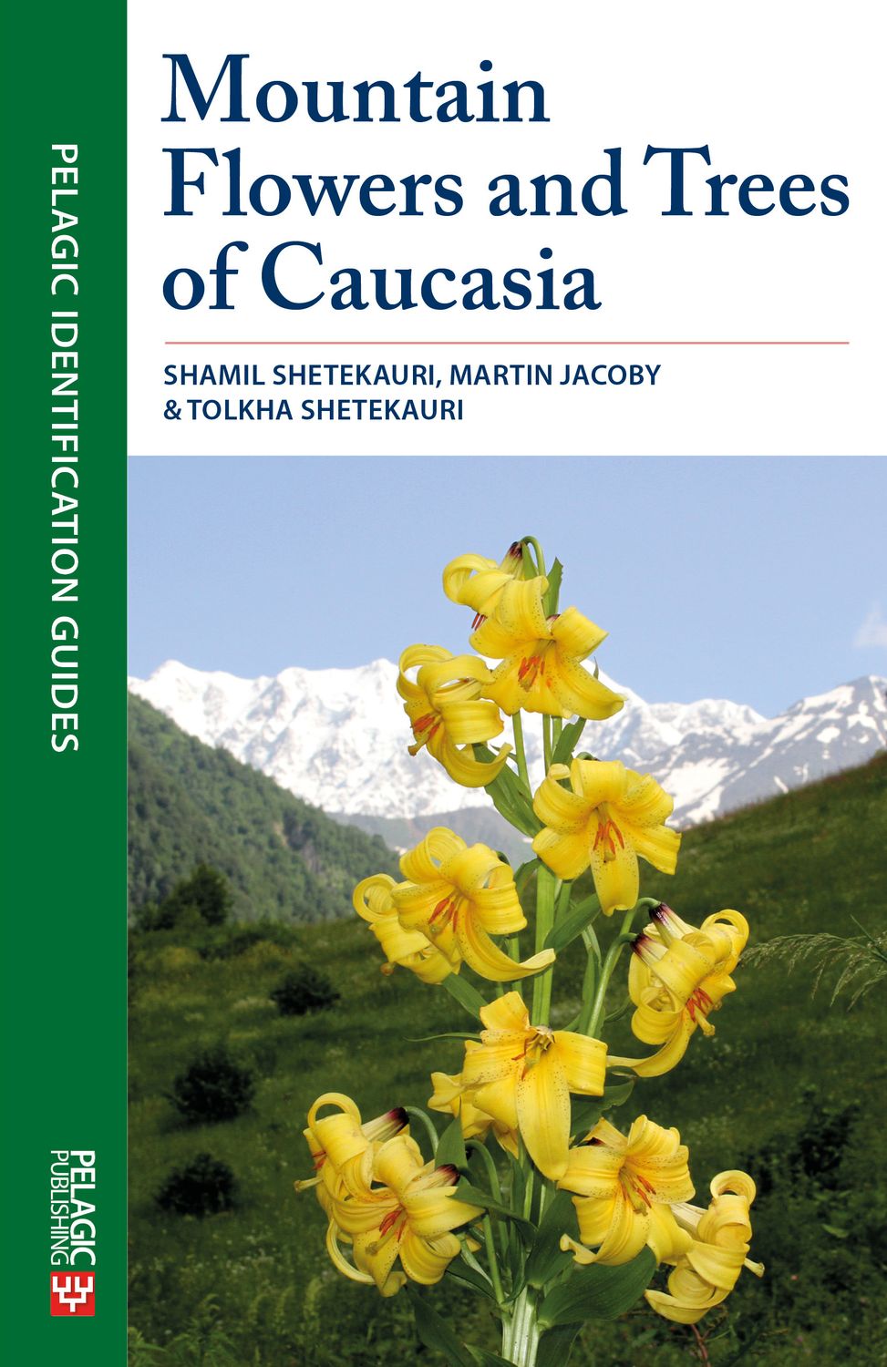 caucasia book review