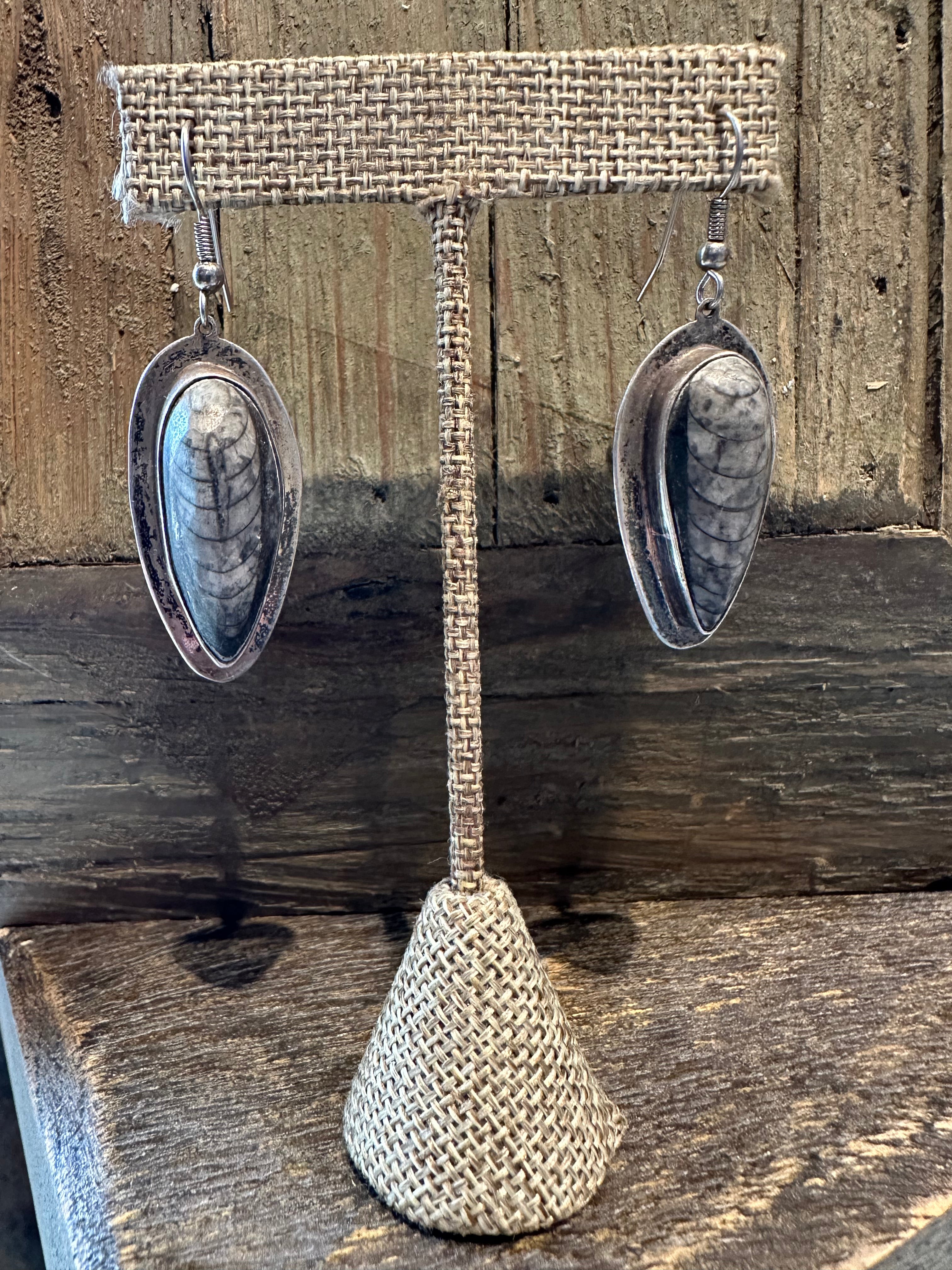 Old Pawn Trilobite earrings