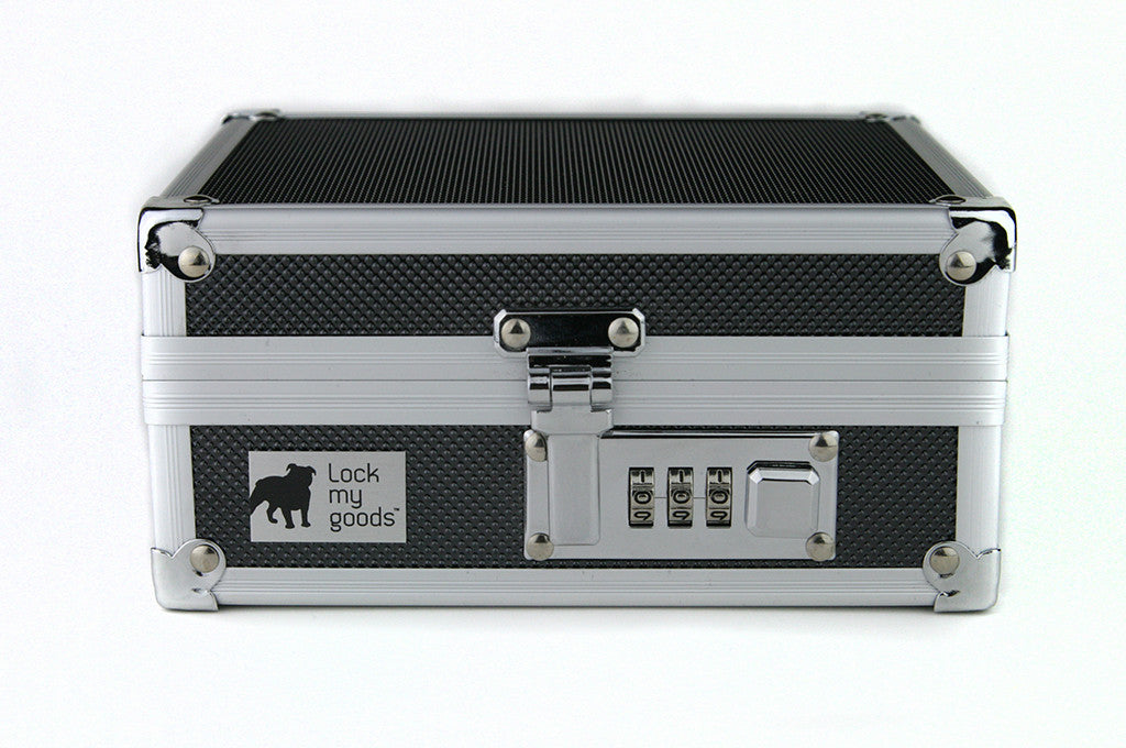 travel case with lock