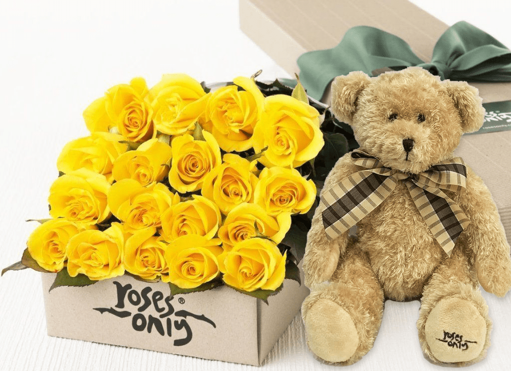 rose teddy bear yellow