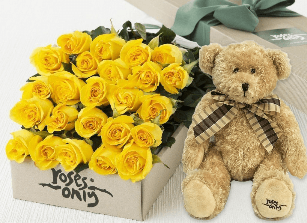 rose teddy bear yellow