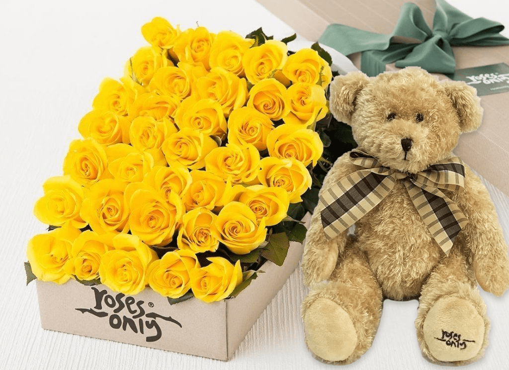 rose teddy bear yellow