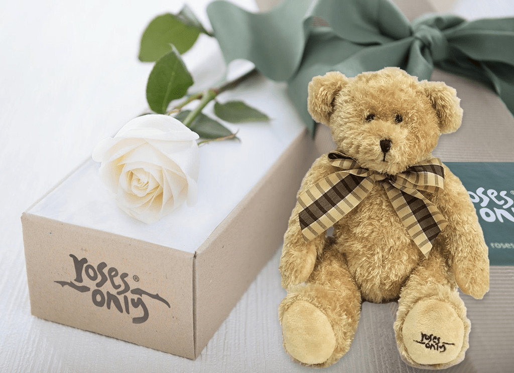 Single White Cream Rose Gift Box & Teddy Bear | Roses Only SG