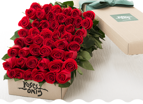 100 roses for valentine's day | roses only