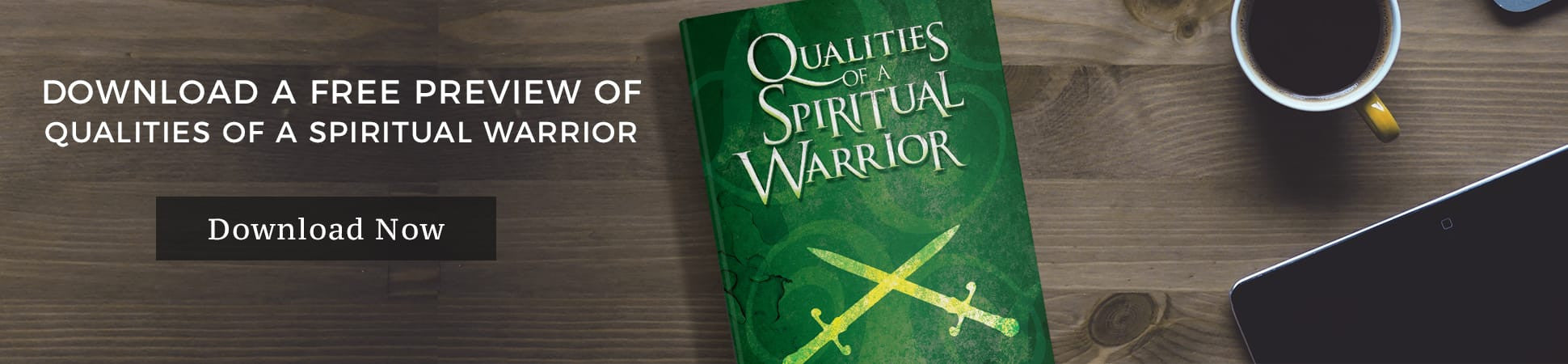 Qualities of a Spiritual Warrior FREE preview