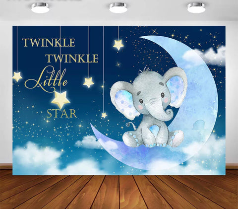 Twinkle in the Sky Backdrop (Material: Vinyl) – HandyandClassy