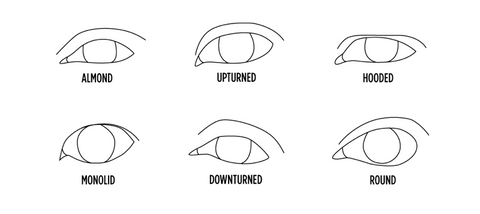 Fundamentals of Eyeliner Online Course Eye Shapes 