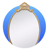 Shop Wall Mirror Selection Button | Wallhogs