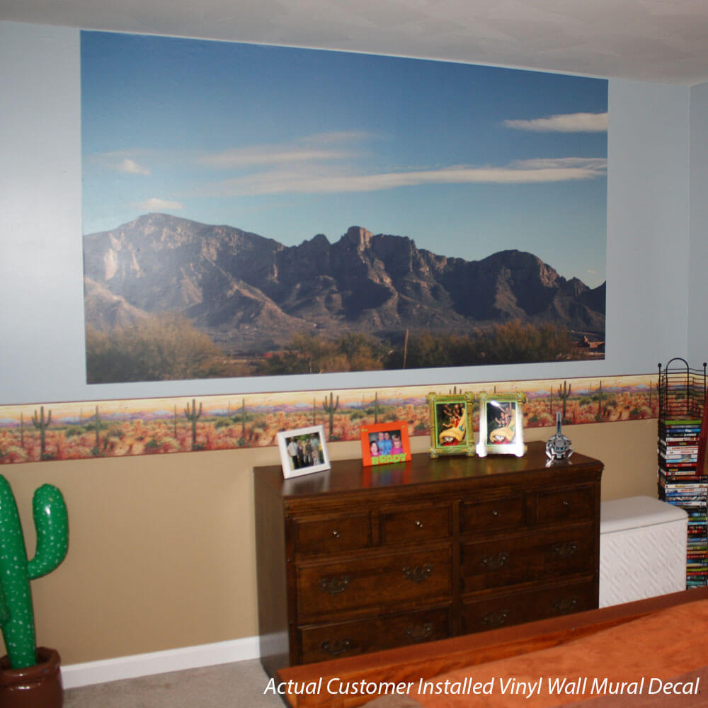 Actual Customer Installed Vinyl Wall Mural Decal in Bedroom