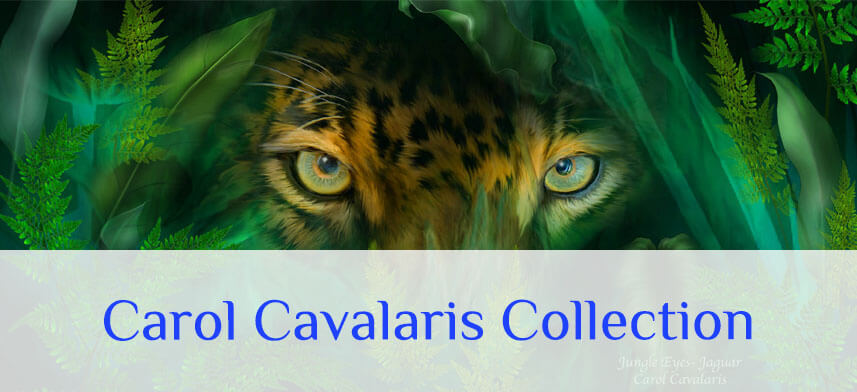 Shop Carol Cavalaris Collection | Wallhogs