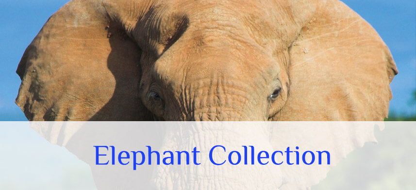 Shop Elephant Wall Decals | Wallhogs