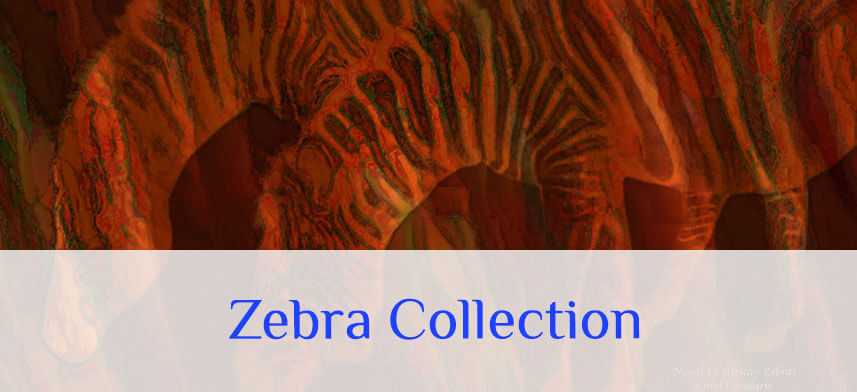 Shop Zebra Wall Decals | Wallhogs