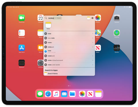 iPad interface