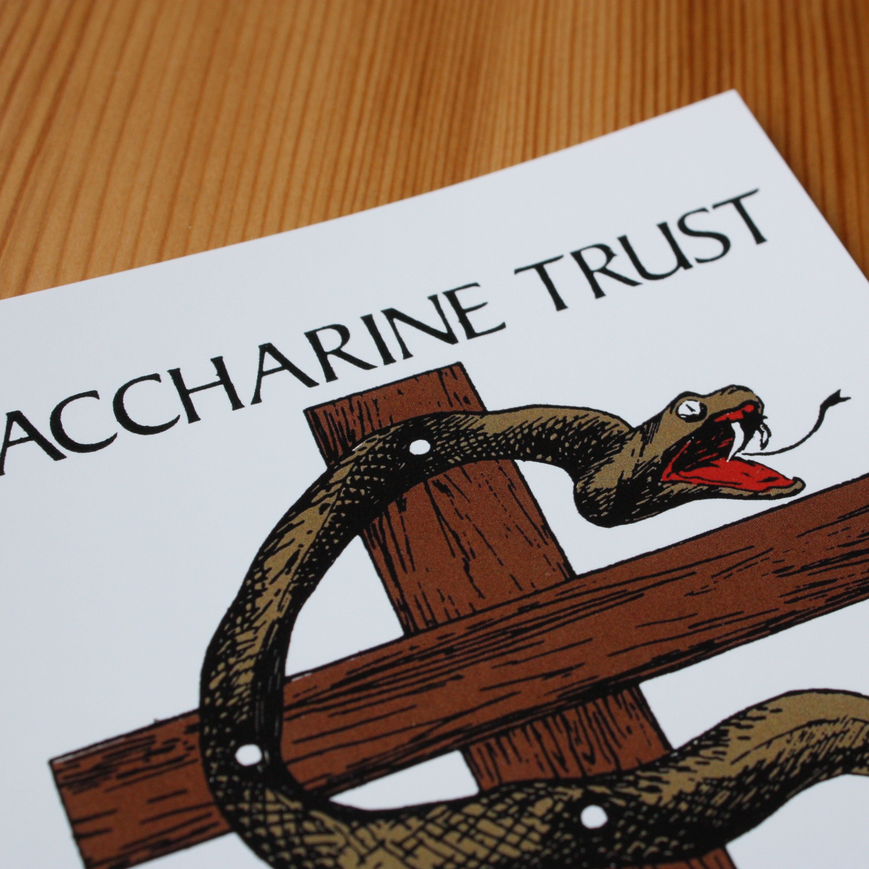 saccharine trust paganicons rare