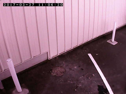 Rear view camera in iPhone