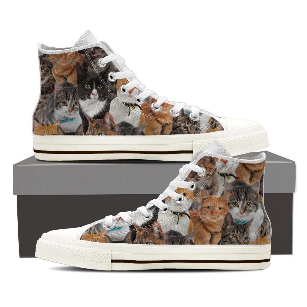 cats shoe