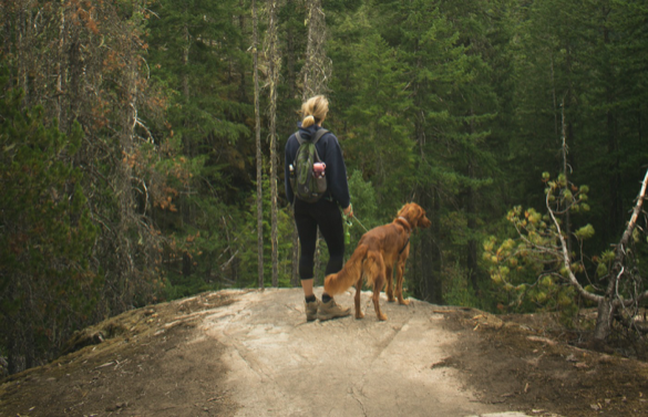 how do i start hiking with my dog