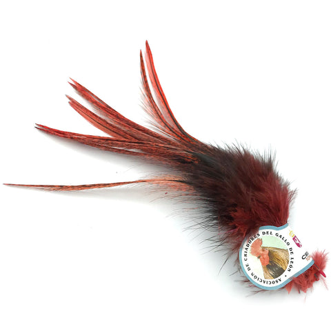 UV2 Coq De Leon Perdigon Fire Tail Feathers – Fly Artist