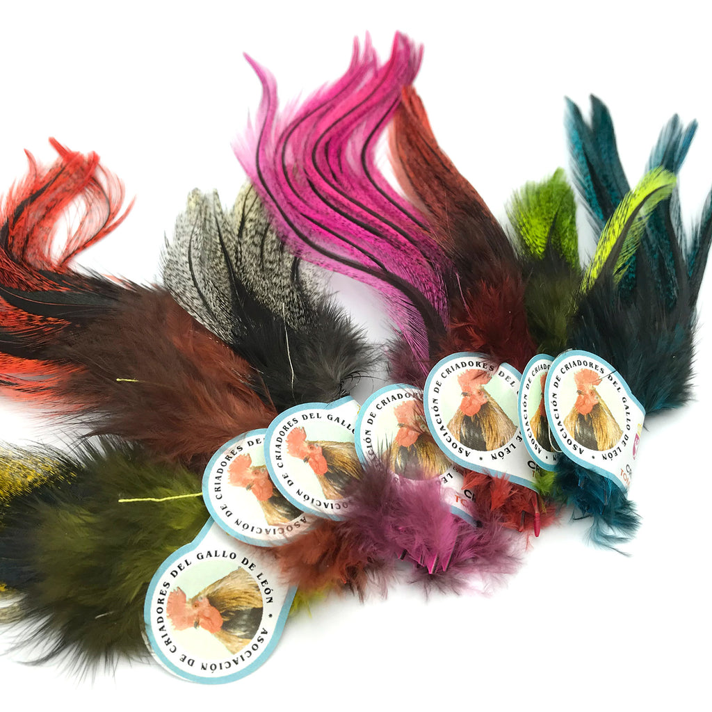 UV2 Coq De Leon Perdigon Fire Tail Feathers – Fly Artist