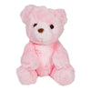 Pink Plush Bear