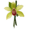 Cymbidium Orchid with Lily Grass