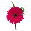 Gerbera Daisy