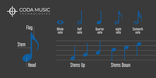 how to read piano music notes on the staff stems note parts