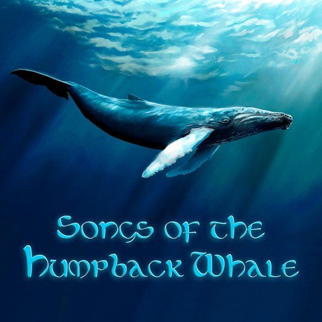 whale song sleep