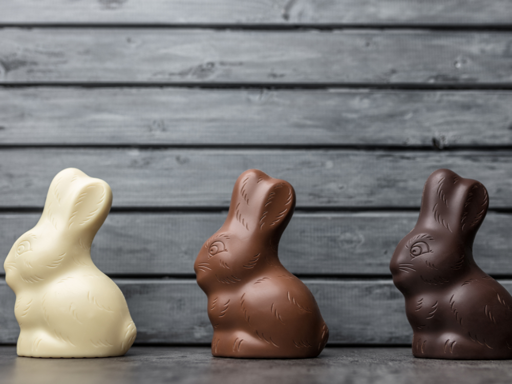 Three chocolate easter bunnies, white, milk and dark chocolate