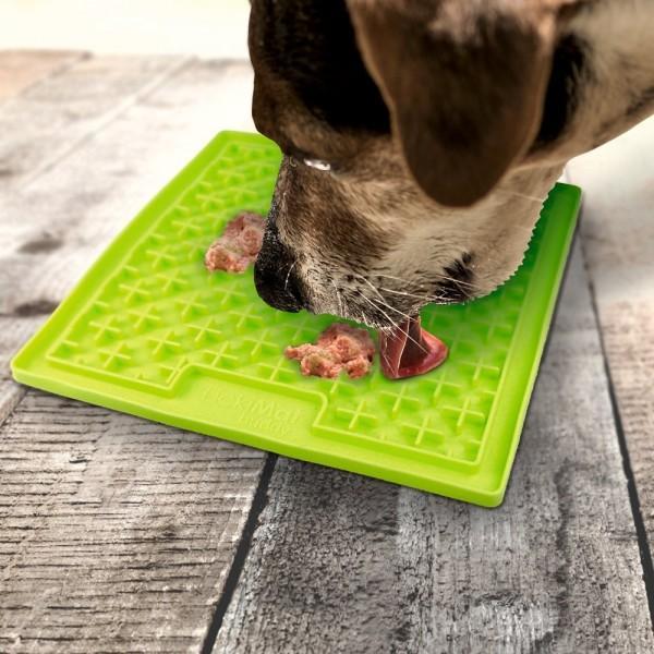 A dog is eating meat on a green slow feeder, a flat Lickimat