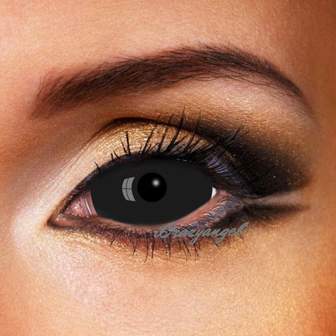 26 HQ Pictures Cat Eye Contacts Prescription : WearMe Pro - Elegant Classic Thin Frame Women Cat Eye ...