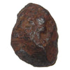 Uruaca Meteorite Specimen at Satin Crystals Stone Shop