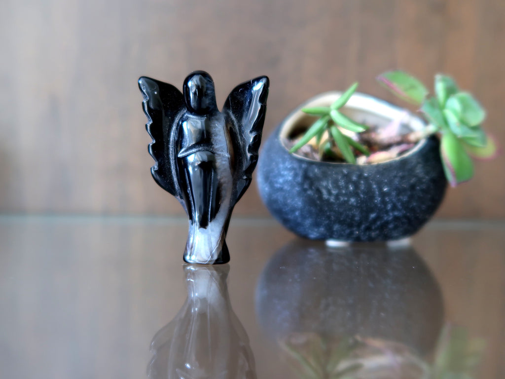 Black Agate Angel and succulent