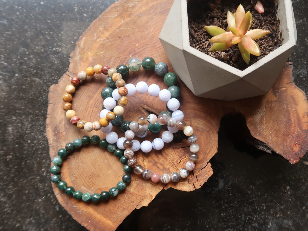 agate stretch bracelets and succulent plant