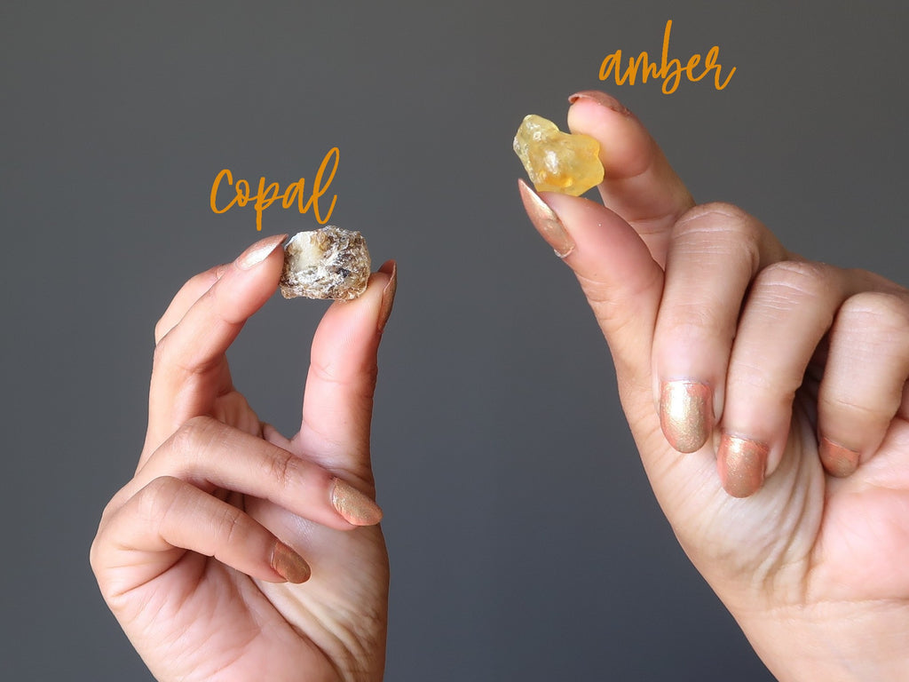 hands holding up a piece of copal and a piece of amber for testing 