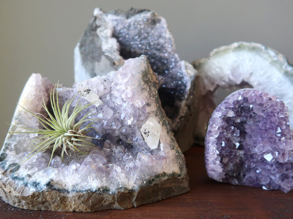 4 amethyst geodes and clusters and an air plant at satin crystals