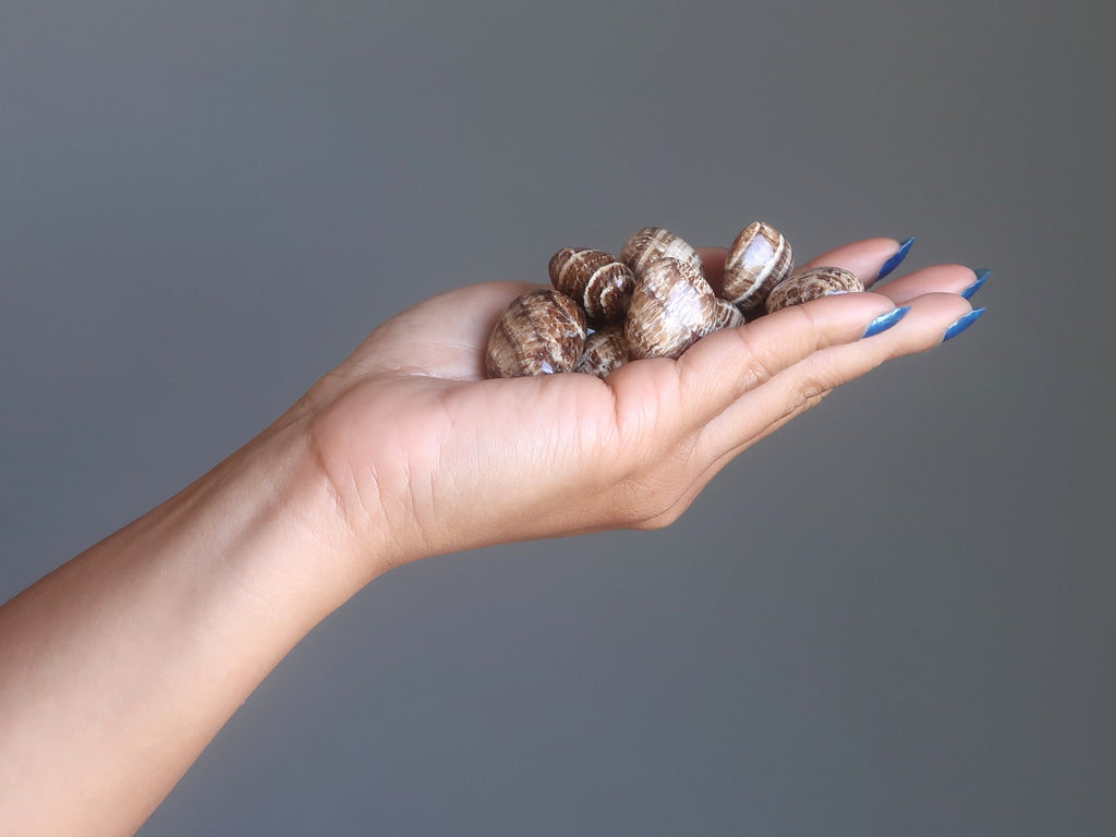 hand full of brown aragonite tumbled stones