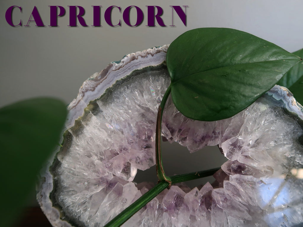 capricorn amethyst geode and plant