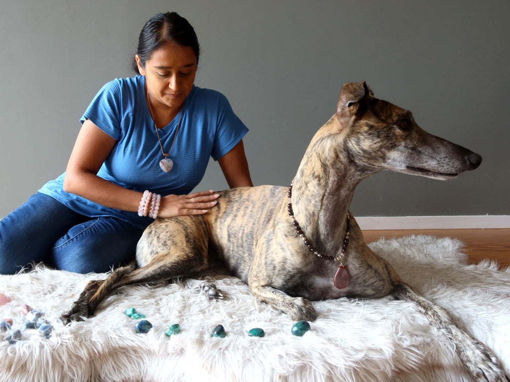 woman sitting in crystal layout with greyhound dog