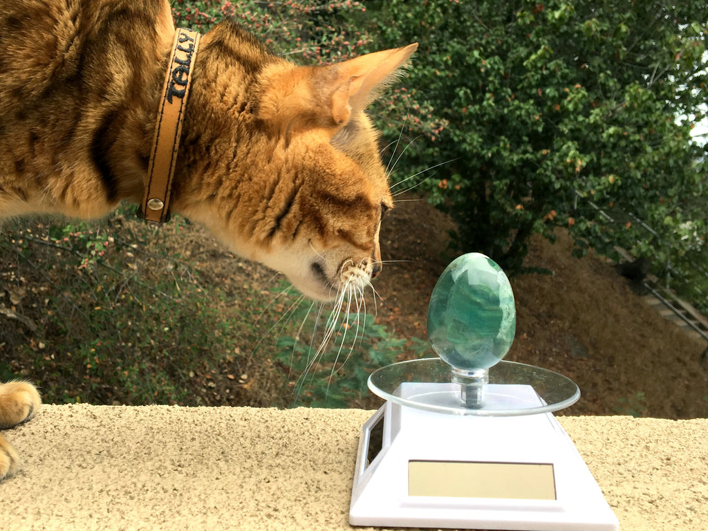 Cats and Fluorite Egg - Crystals for your Pets