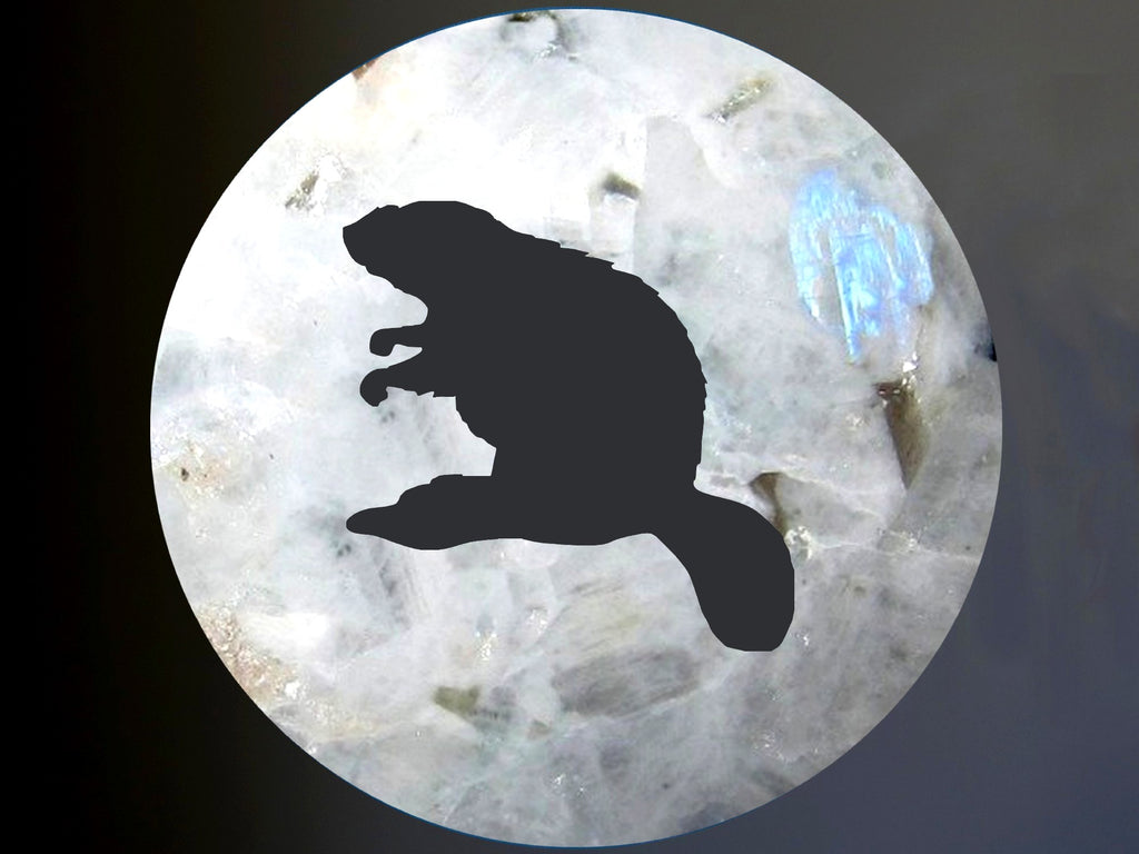 rainbow obsidian sphere with beaver silhouette representing the moon