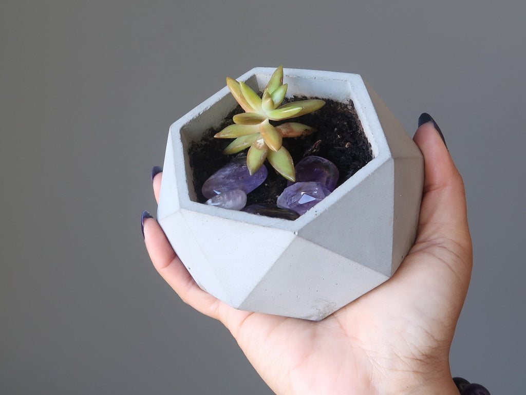 succulent in geometric planter with amethyst tumbled stones