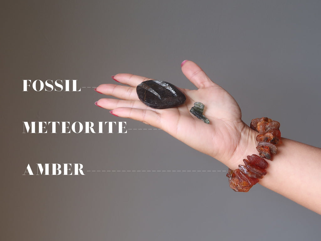 Fossil, Meteorites and Amber for Meditation and Visualization for Jurassic Park journeys