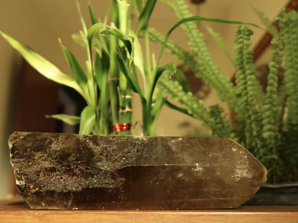 smoky quartz raw wand with plants