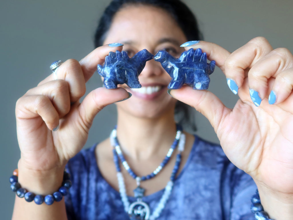 sheila of satin crystals holding sodalite dinosaurs