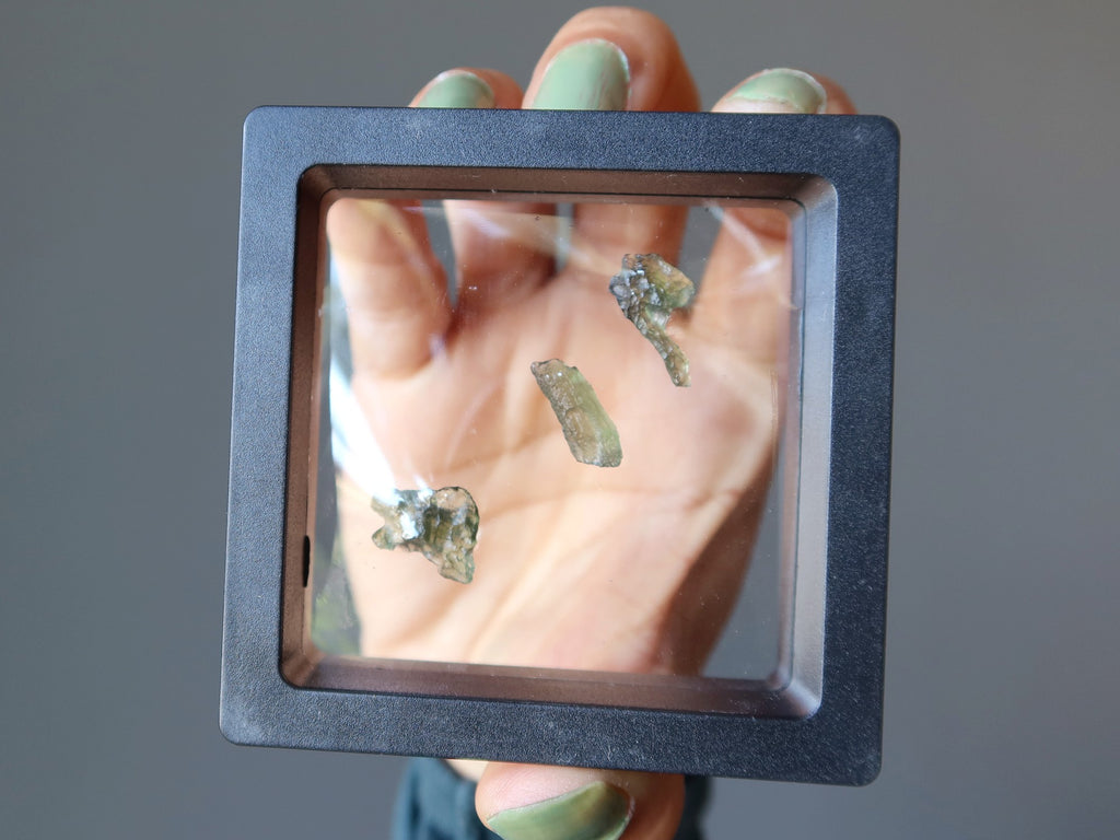 hand holding three green raw moldavite in a suspension display case