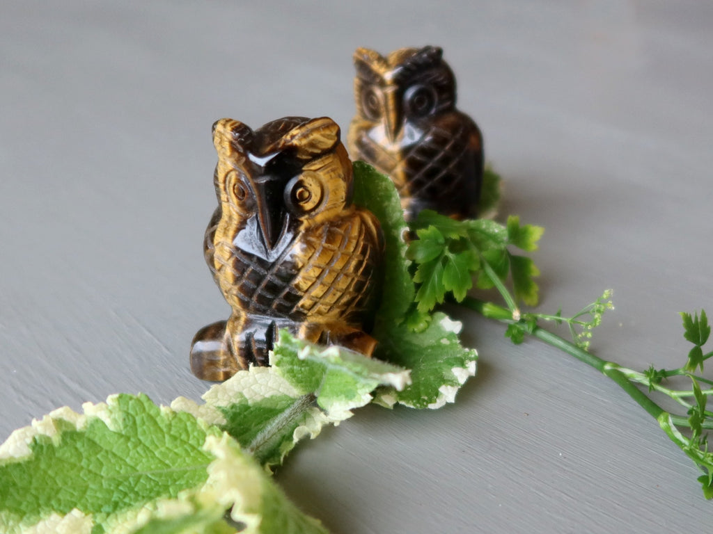 tigers eye owl pair and mint and parsley