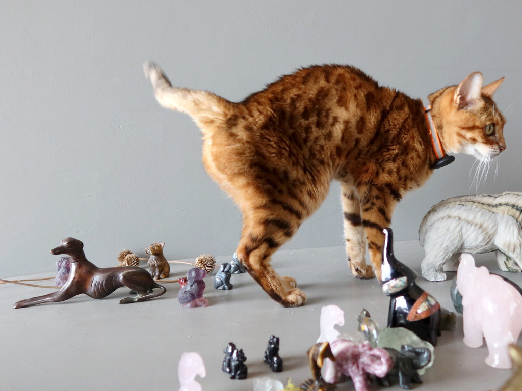 bengal cat and crystal animal figurines