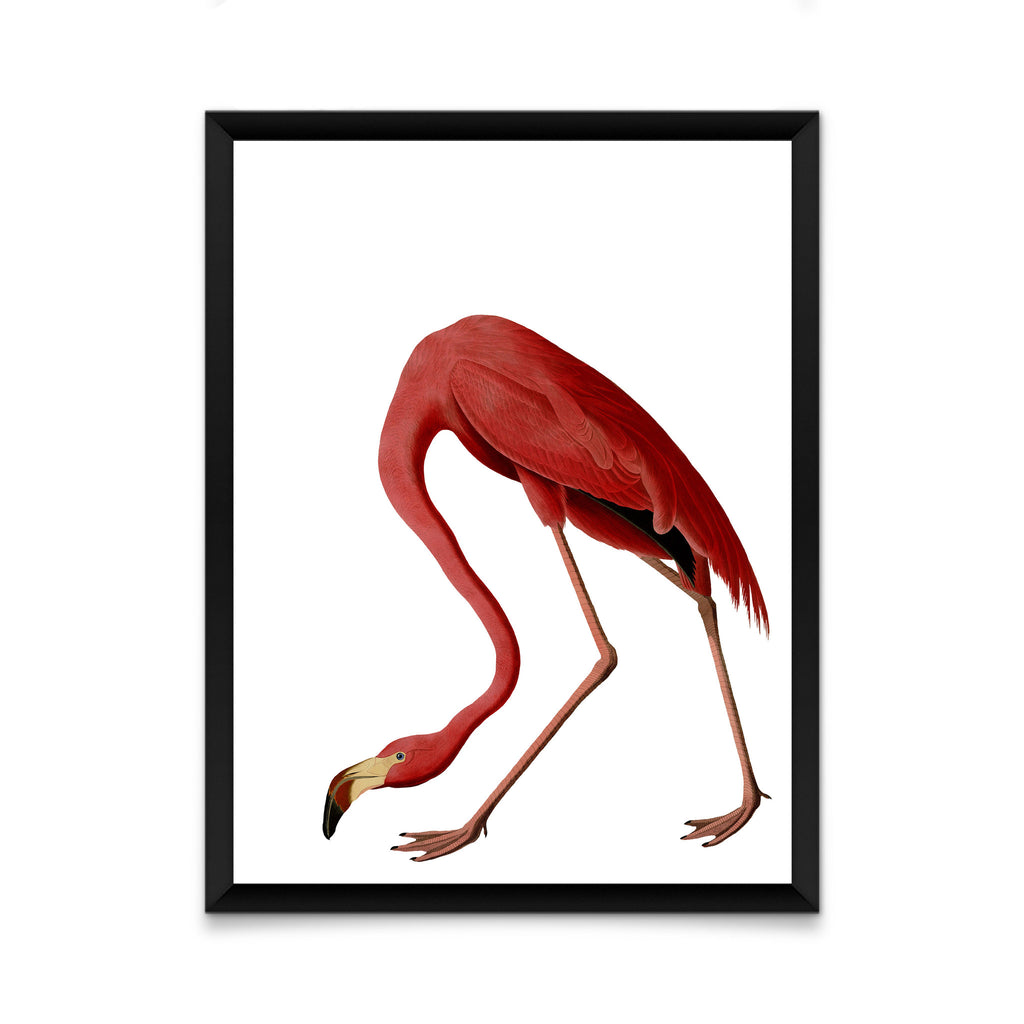 Flamingo Print Wall Art Kitschattic