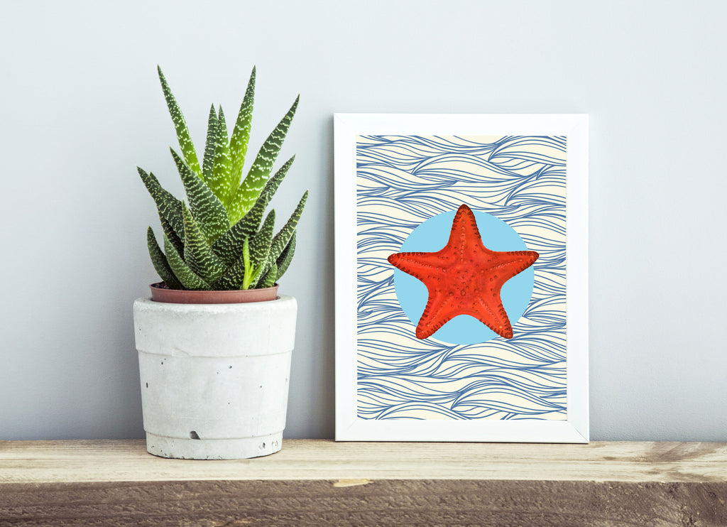 Star Fish Print Wall Art Kitschattic